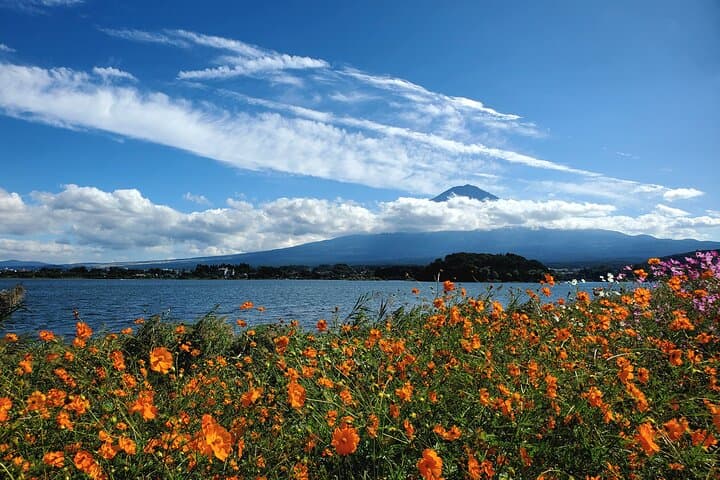Private Full-Day Mount Fuji Tour from Yokohama — Chureito Pagoda, Oshino Hakkai & Lakes photo 5