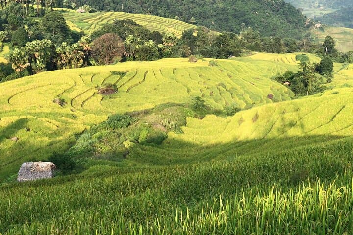 Ha Giang Loop & Sa Pa: 6-Day Motorcycle and Homestay Adventure in Northern Vietnam photo 5