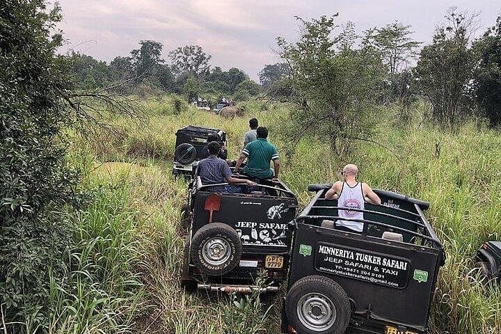 Wild Elephant Safari from Colombo — Minneriya & Hurulu Private 4x4 Tour photo 4