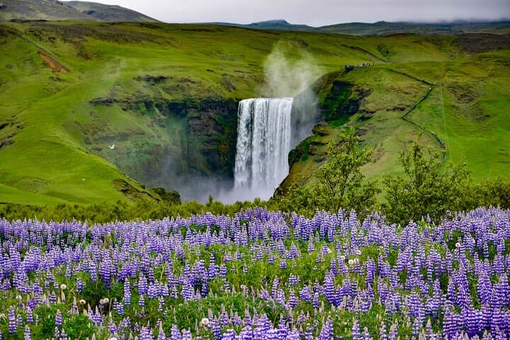 South Coast Glacier Hike from Reykjavik — Sólheimajökull & Black Sand Beach Adventure photo 3