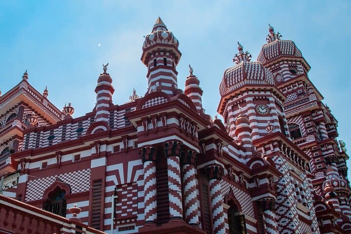 Explore Colombo's Cultural Charms and Muthurajawela Birdwatching photo 4