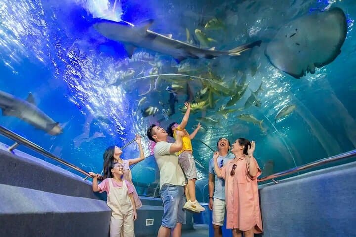 Nha Trang to Da Lat: 5-Day Highlights — Islands, Cable Car & Highland Day Trip photo 6