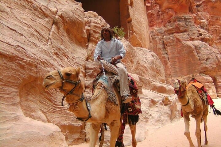 Jordan Uncovered: 3-Day Petra, Wadi Rum & Dead Sea Group Tour photo 5