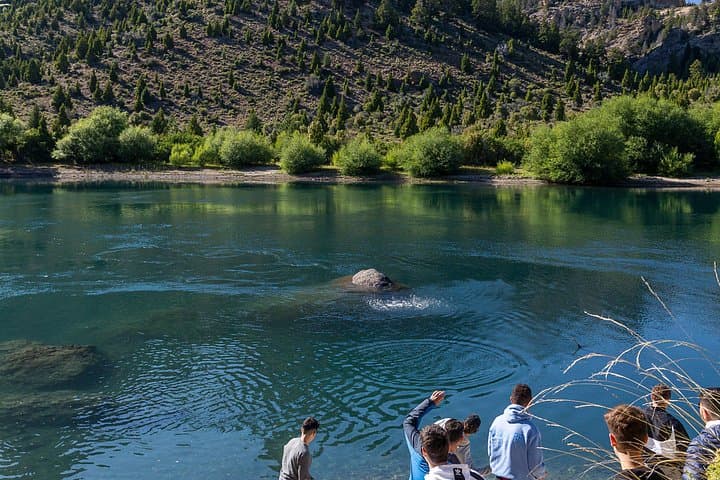 Circuito Grande: Bariloche Full-Day Seven Lakes & Valle Encantado Tour photo 4