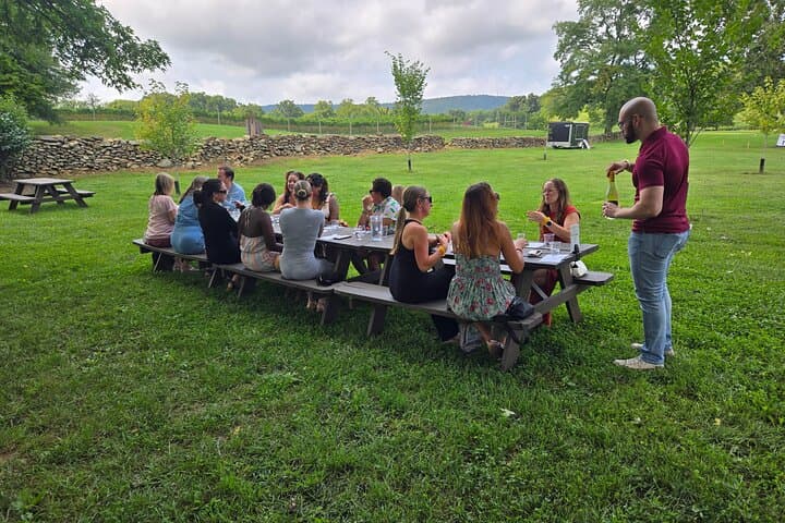 Loudoun County Winery Bus Tour: 3-Winery Day Trip from Washington D.C. photo 4