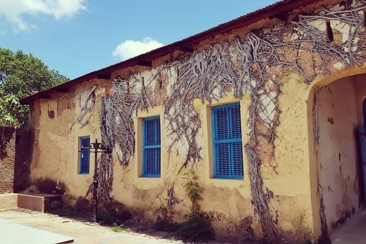 Stone Town & Prison Island Day Trip: Historic Walking Tour and Tortoise Visit photo 3