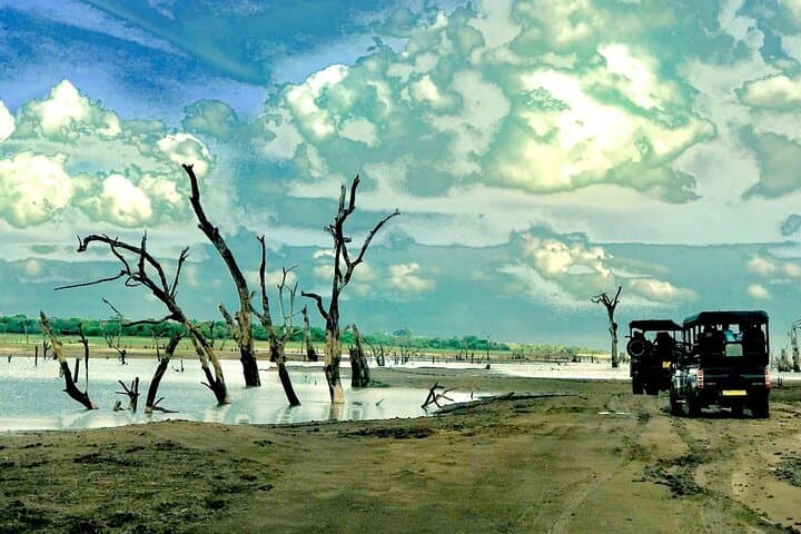 Ultimate 8-Day Sri Lanka Adventure: Private Guided Tour photo 2