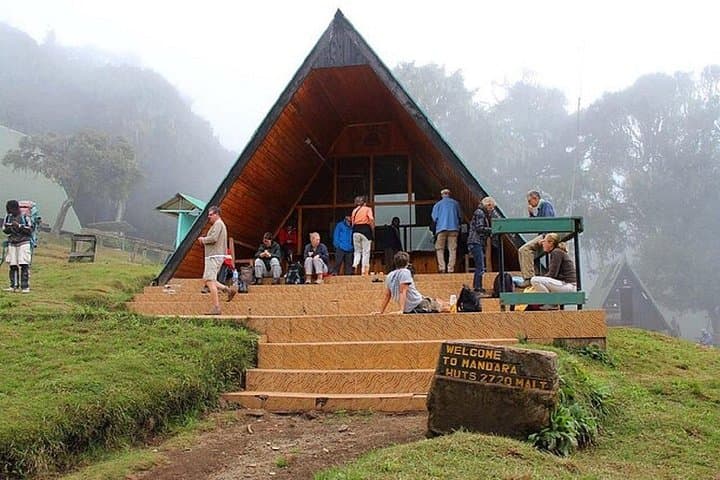 Kilimanjaro Day Hike via Marangu: Forest Trail to Mandara Hut photo 2