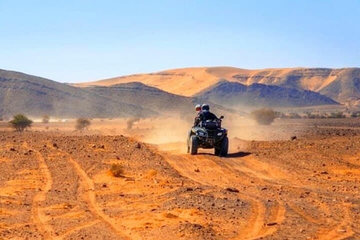 Agadir Quad Bike Safari, Argan Tree Goats & Crocoparc Ticket photo 2