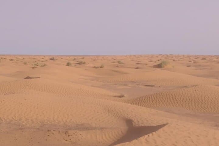 Private 2-Day Sahara Bivouac: 75km Grand Erg Oriental Adventure photo 4