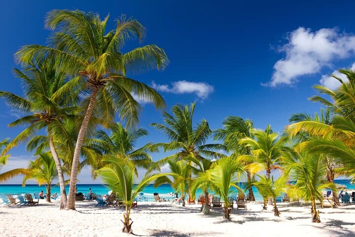 Saona Island Catamaran Escape: Day Trip from Bayahibe with Natural Pool & Lunch photo 2