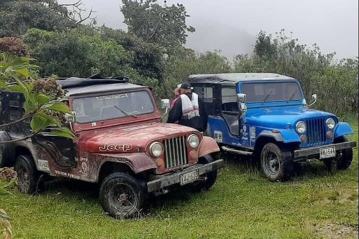 Cocora Valley Hike & Willys Jeep Tour — Wax Palms, Birding, and Traditional Lunch from Salento photo 5