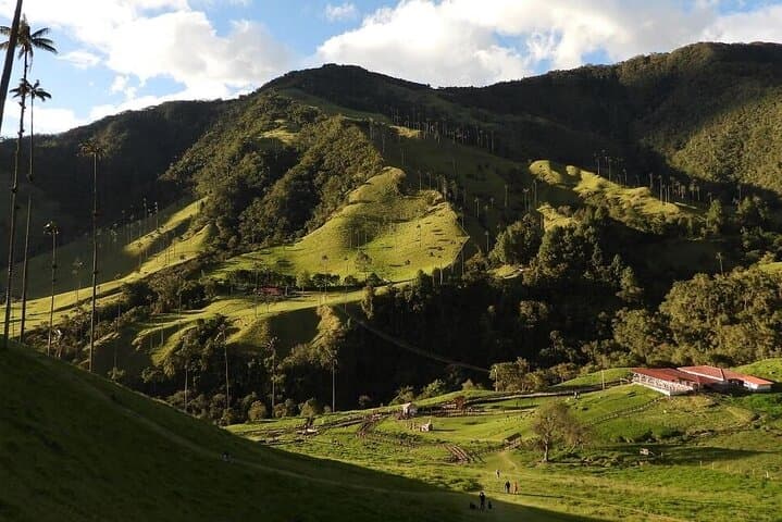 Cocora Valley Hike & Willys Jeep Tour — Wax Palms, Birding, and Traditional Lunch from Salento photo 6
