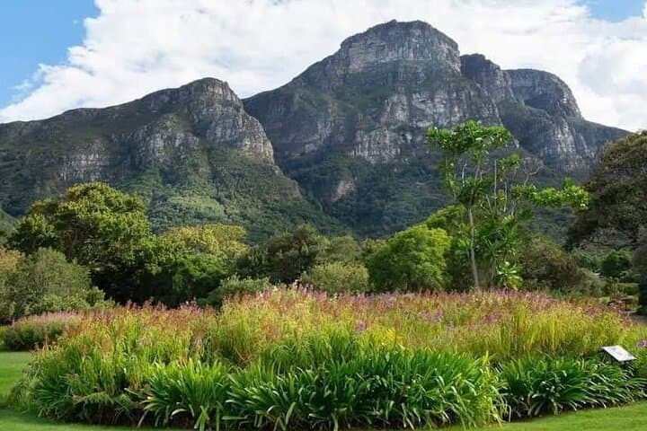 Kirstenbosch Gardens and Constantia Wine Tasting: A Full-Day Cape Town Nature and Wine Tour photo 4