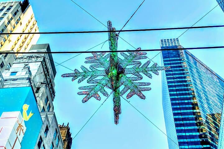Holiday Walking Tour: Central Park to Rockefeller Center photo 6