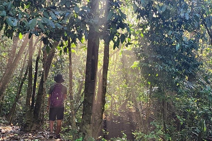 Mismaloya Waterfalls Private Jungle Hike — Puerto Vallarta Day Tour photo 2