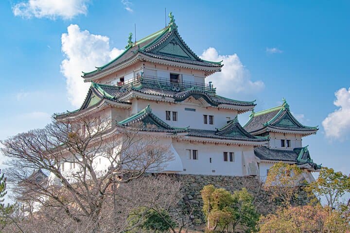 Historic Wakayama City Walking Tour — Wakayama Castle, Yosuien & Kuroshio Market