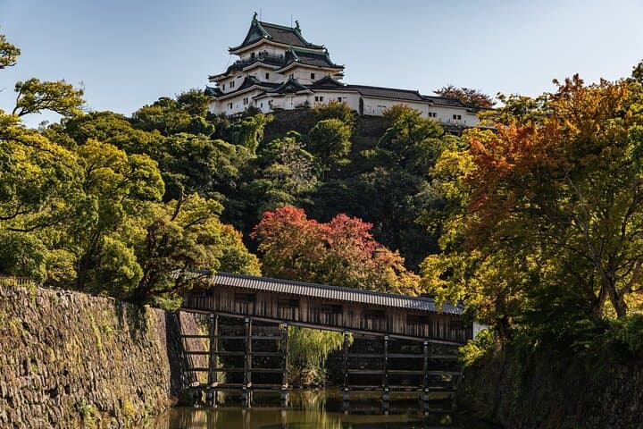 Historic Wakayama City Walking Tour — Wakayama Castle, Yosuien & Kuroshio Market photo 2