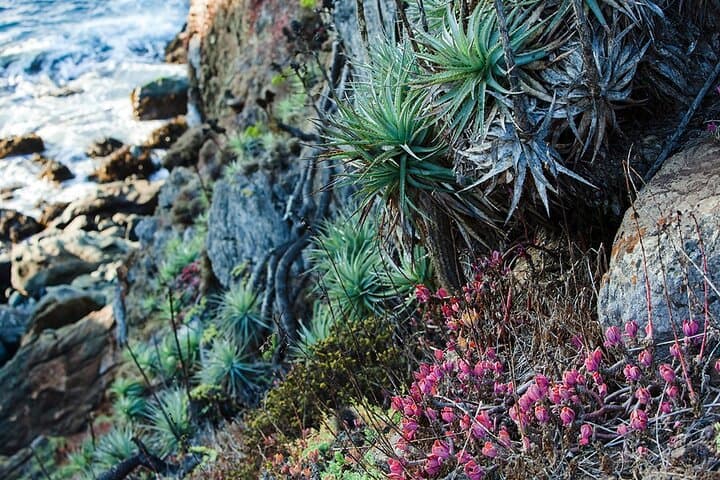 Coastal Hike to Puquén Bio-Park and Cachagua: Day Trip from Santiago photo 3