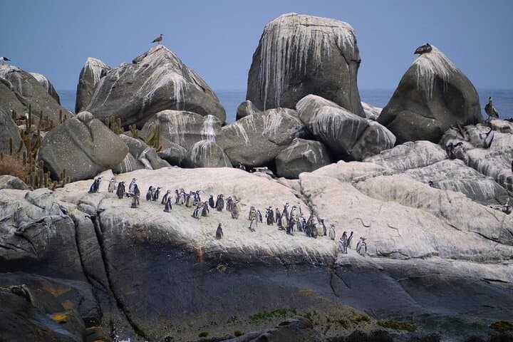 Coastal Hike to Puquén Bio-Park and Cachagua: Day Trip from Santiago photo 4
