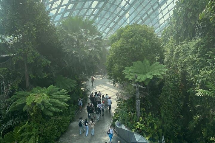 Private Singapore City Car Tour — 4- or 8-Hour Custom Cultural Drive photo 2