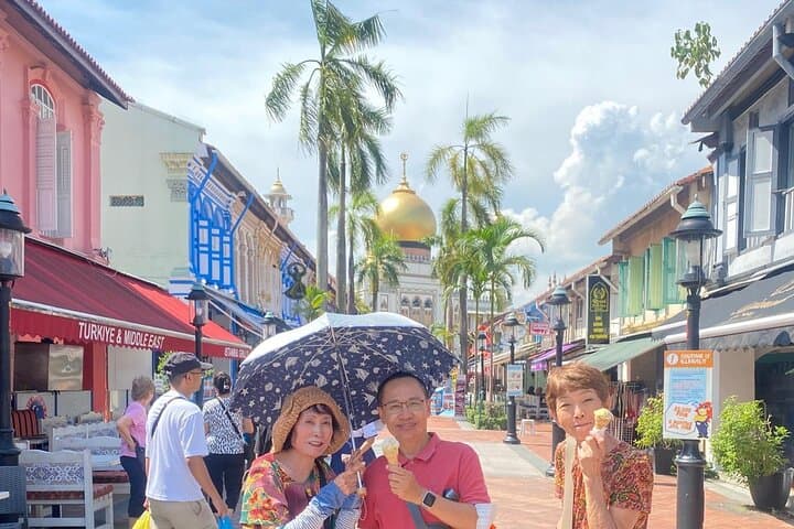 Private Singapore City Car Tour — 4- or 8-Hour Custom Cultural Drive photo 1