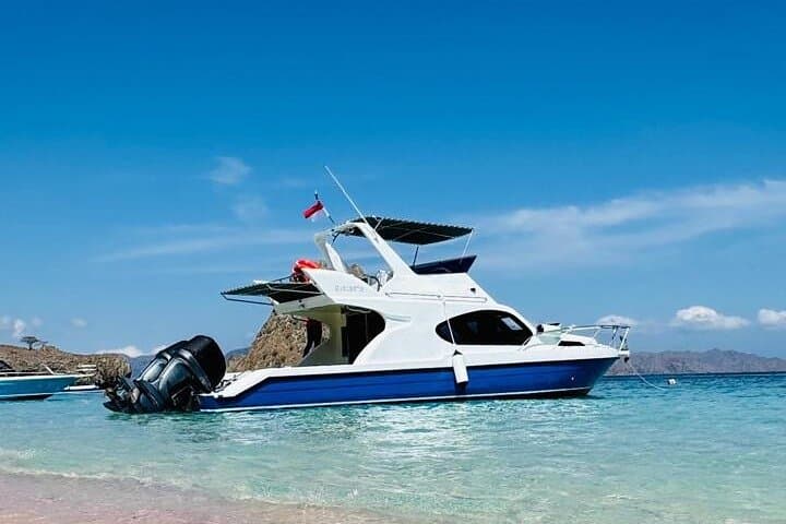 Early Bird Komodo Speedboat Tour — Padar, Pink Beach, Komodo & Manta Snorkel photo 2