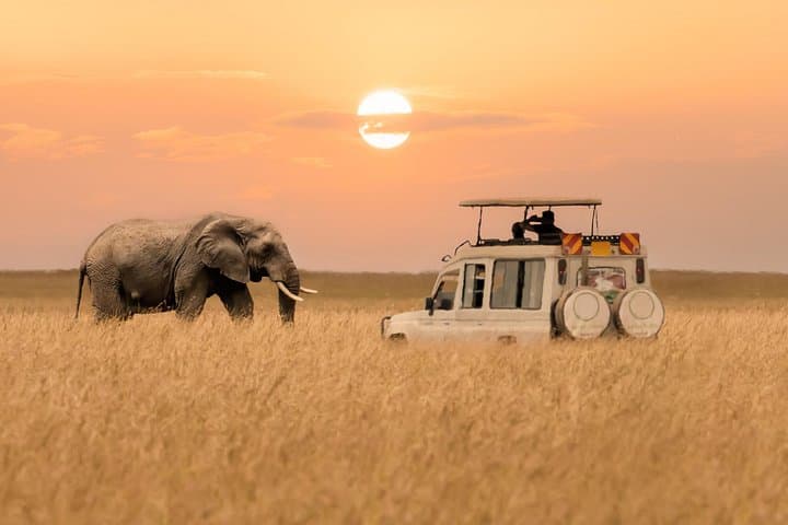Two-Day Budget Safari: Tarangire & Ngorongoro Crater from Arusha