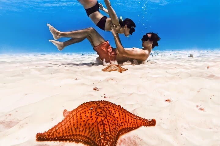 Cozumel El Cielo, Palancar & Columbia Reef Snorkel Adventure photo 2
