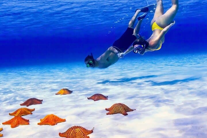 Cozumel El Cielo, Palancar & Columbia Reef Snorkel Adventure photo 3