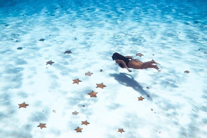 Cozumel El Cielo, Palancar & Columbia Reef Snorkel Adventure photo 6
