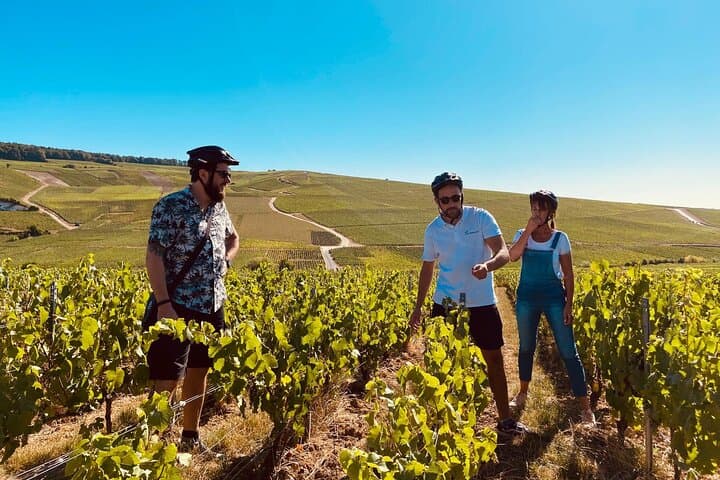 Full-Day Champagne E‑Bike Tour from Reims: Hautvillers, Cellars & Lunch photo 1