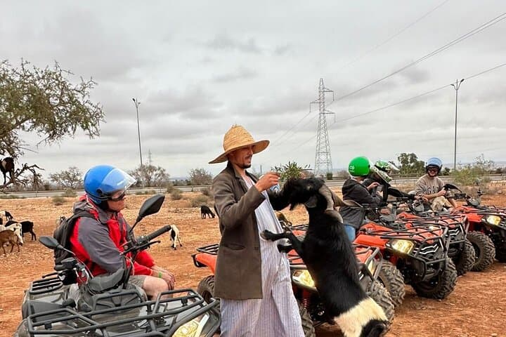 Taghazout Quad Safari & Argan Tree Goats — Agadir Desert Ride and Berber Tea photo 4