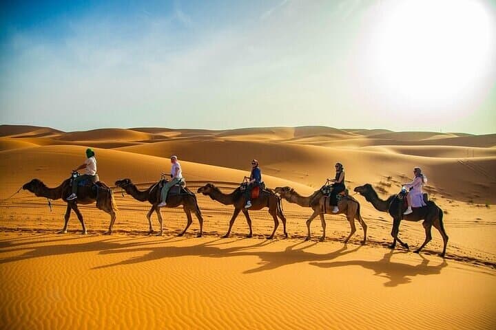 Riyadh Red Dunes VIP Quad Biking and Camel Riding — 3.5-Hour Desert Adventure photo 6