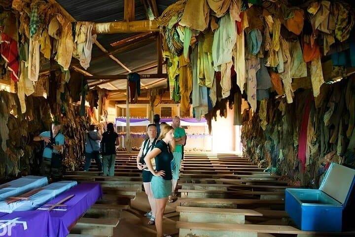 Nyamata & Lake Bugesera Day Trip — Genocide Memorials and Lakeside Village Walk