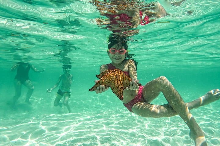 Full-Day Saona Island Catamaran Cruise: Natural Pool Swim, Buffet Lunch & Open Bar photo 3