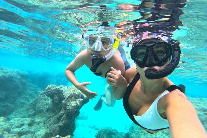 Guided Hanauma Bay Snorkel Tour: Skip the Line & Swim with Turtles photo 6