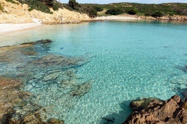 Asinara Day Cruise from Stintino — Dolphins, White Donkeys & Snorkeling photo 2