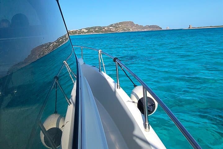 Asinara Day Cruise from Stintino — Dolphins, White Donkeys & Snorkeling