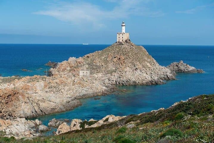 Asinara Day Cruise from Stintino — Dolphins, White Donkeys & Snorkeling photo 3