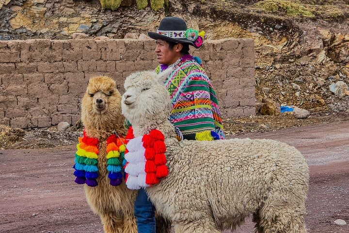 Full-Day Vinicunca (Mountain of Colors) Tour from Cusco — Rainbow Mountain Guide photo 3