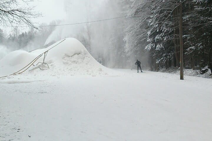 Learn Cross-Country Skiing in Tallinn's Nõmme Forest Park photo 3