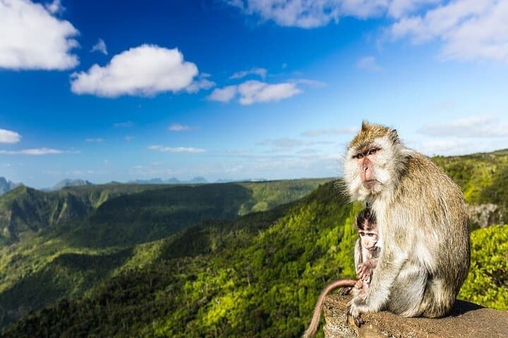 Full-Day Southwest Mauritius Tour: Trou Aux Cerfs, Grand Bassin, Chamarel & Gris Gris photo 3