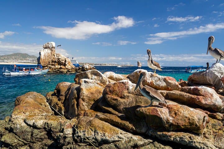 Clear Boat Cabo San Lucas: Arch Cruise, Glassblowing & Tequila Tasting Tour photo 2