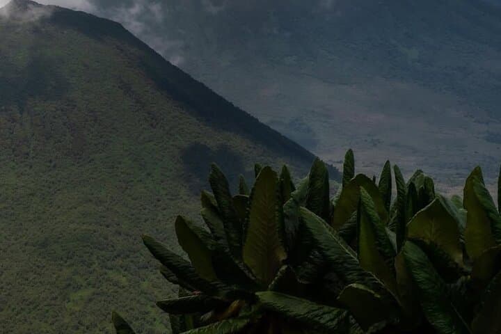 Climb Mount Muhabura: 2-Day Hike from Kisoro photo 2