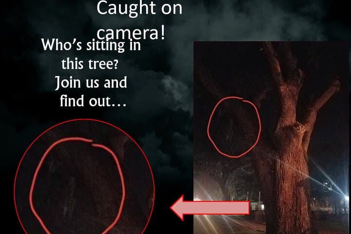 Haunted Saint Augustine: Nighttime Paranormal Investigation & Ghost Tour photo 4