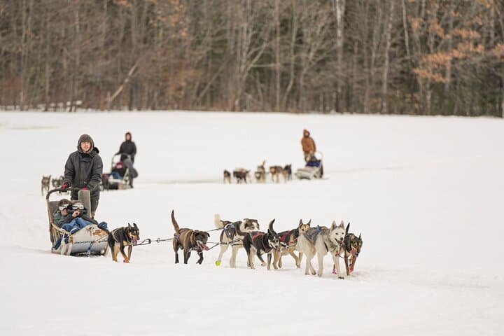 Ultimate Dog Sledding Day Trip from Ottawa & Gatineau to Petite‑Nation Waterfall photo 3