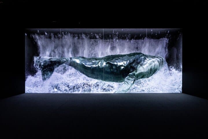 ARTE Museum Las Vegas: Explore the 'Eternal Nature' Multisensory Art Experience