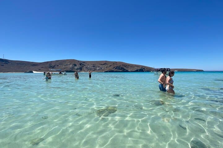 Private Balandra Beach Experience from La Paz — Snorkel Sea Lions & Beach Ceviche photo 5
