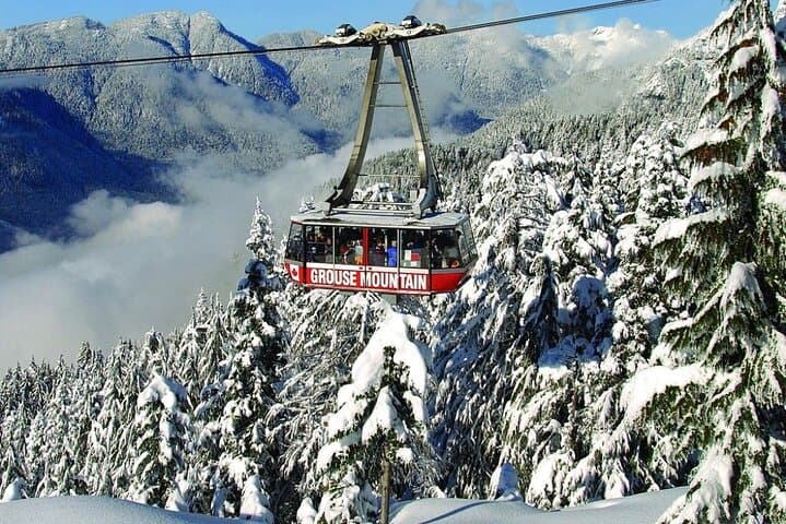 Private Capilano Suspension Bridge and Grouse Mountain Tour from Vancouver